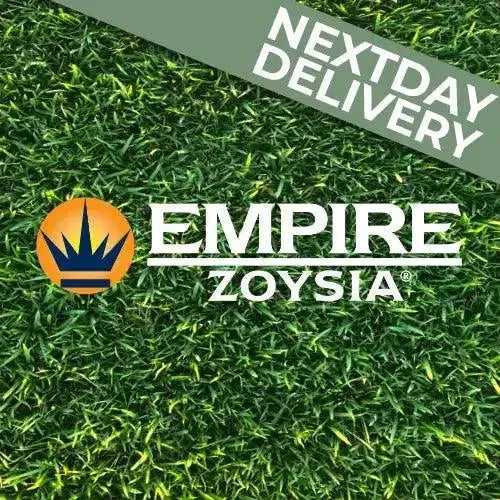 Empire Zoysia Slab 0.75m2 | Luxurious Turf - Australian Landscape Supplies