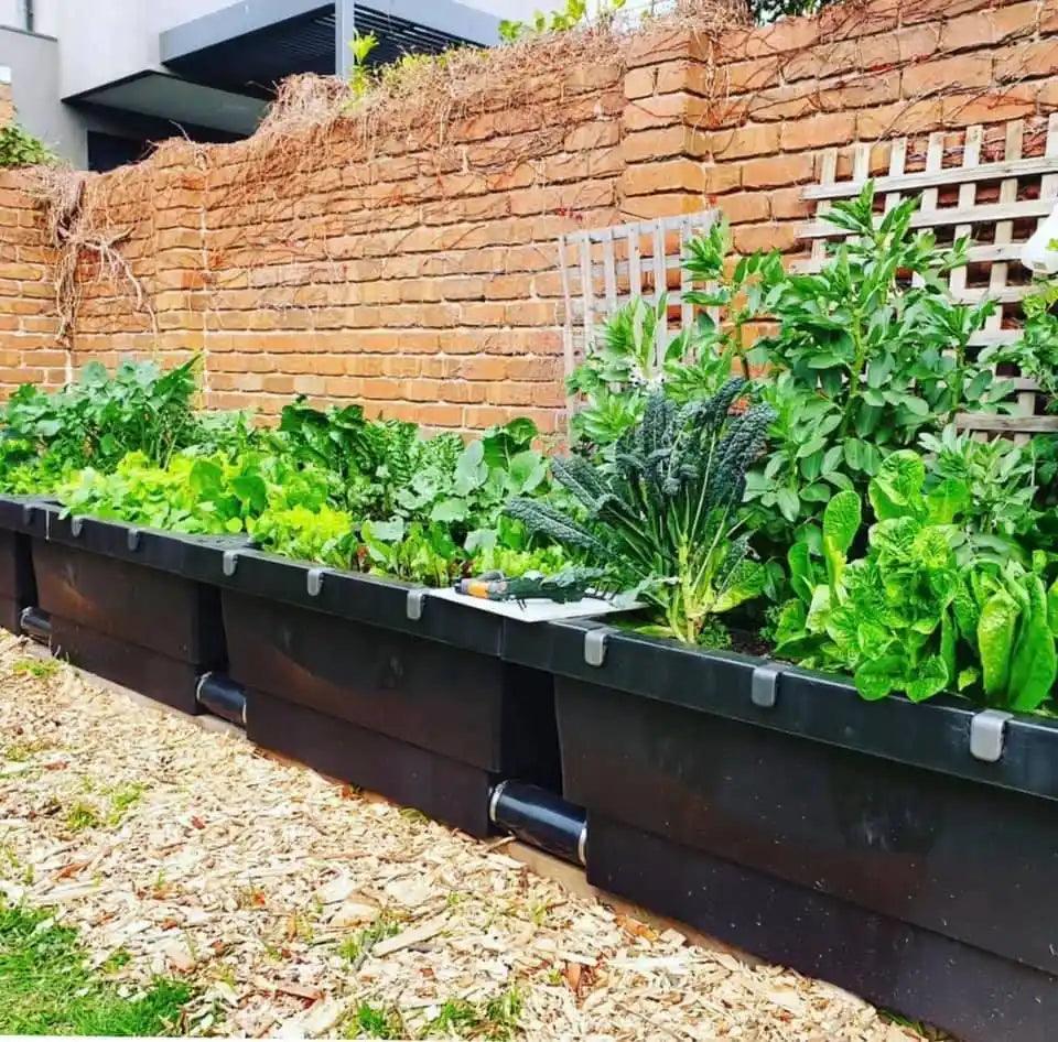 Foodcube Raised Wicking Bed Available at Australian Landscape Supplies